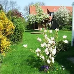 Fenster Ferienhaus