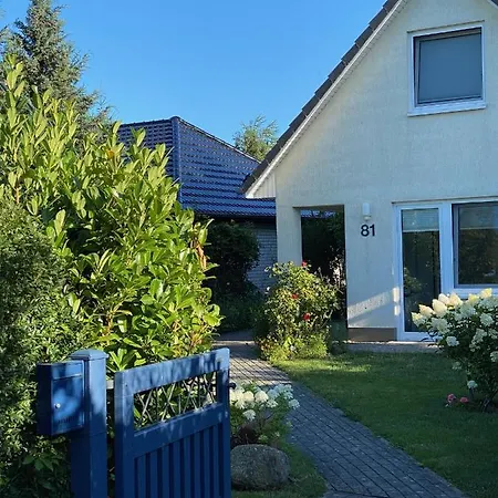 Fenster * Kaltenhof