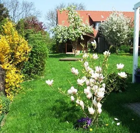 Fenster Ferienhaus